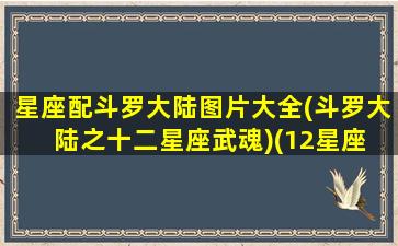 星座配斗罗大陆图片大全(斗罗大陆之十二星座武魂)(12星座 斗罗大陆)